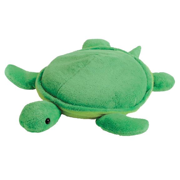 sensory turtle toy